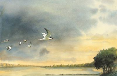 Donner la parole au fleuve