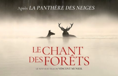 Le chant des forêts de Vincent Munier