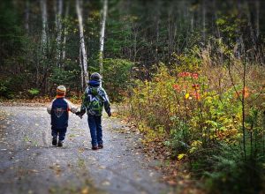 FESTIVAL D'ANJOU : LE PETIT CHAPERON ROUGE 