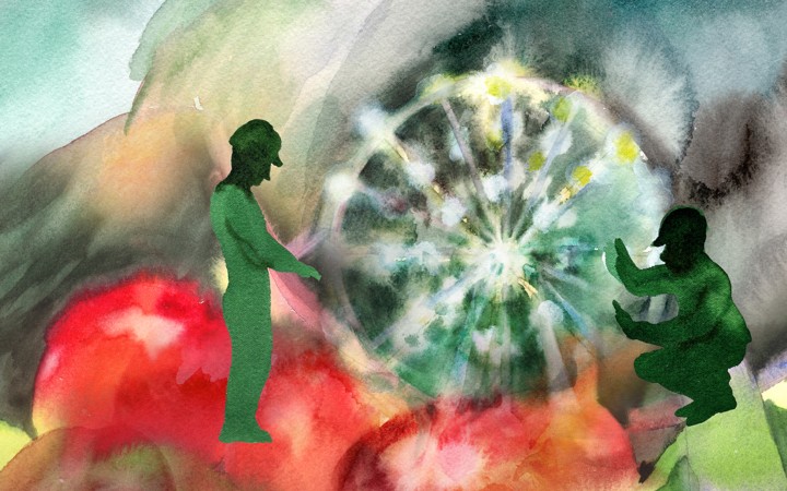 La Flûte enchantée