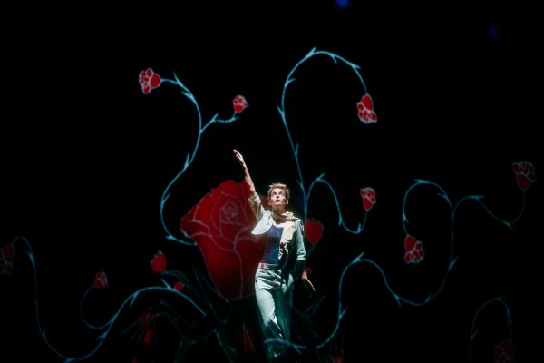 Le Petit Prince