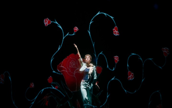 Le Petit Prince