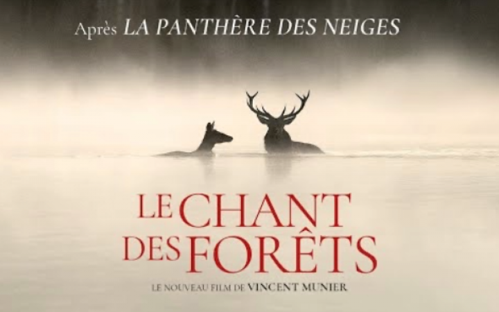 Le chant des for&ecirc;ts de Vincent Munier