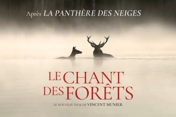 Le chant des for&ecirc;ts de Vincent Munier