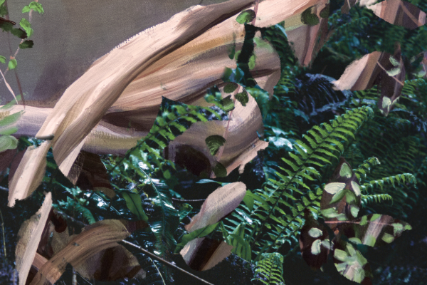 Exposition Photographie et Peinture