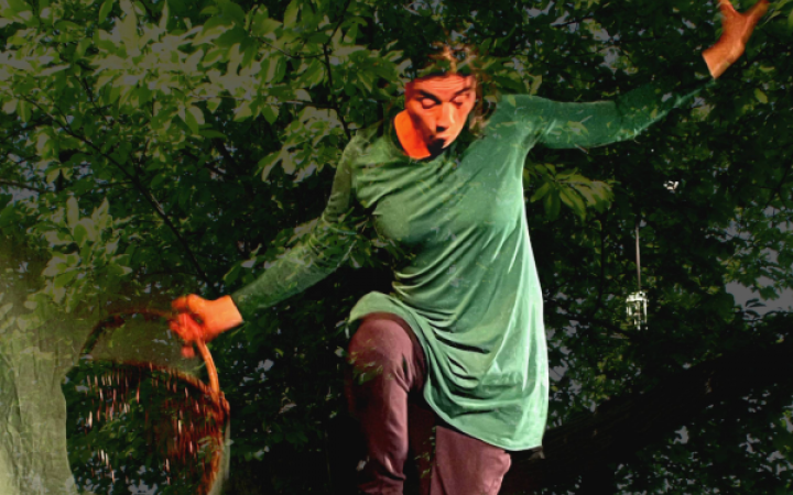 La For&ecirc;t disparue