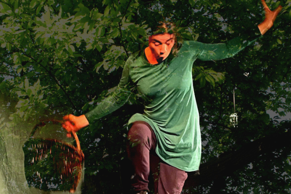 La For&ecirc;t disparue