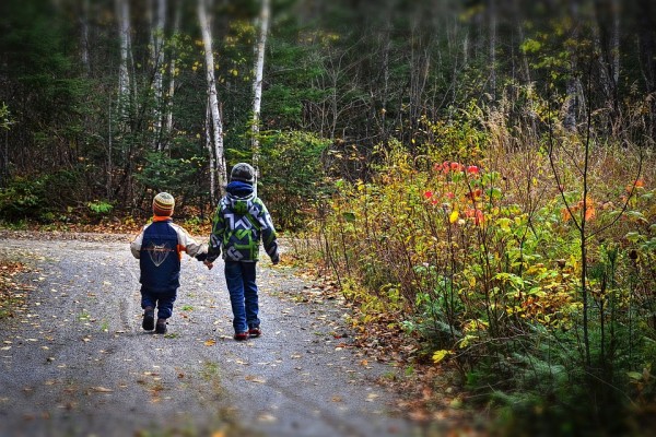 FESTIVAL D'ANJOU : LE PETIT CHAPERON ROUGE "PROMENONS NOUS DANS LES BOIS"